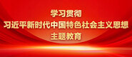 www.去草逼学习贯彻习近平新时代中国特色社会主义思想主题教育_fororder_ad-371X160(2)